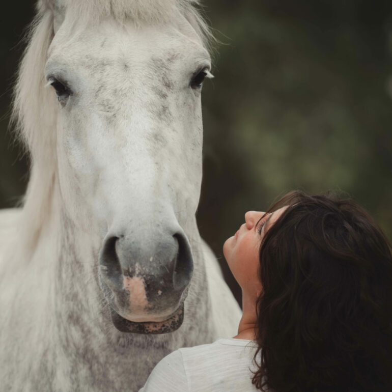 Séance photo équine à Evreux avec bibi le cheval.
