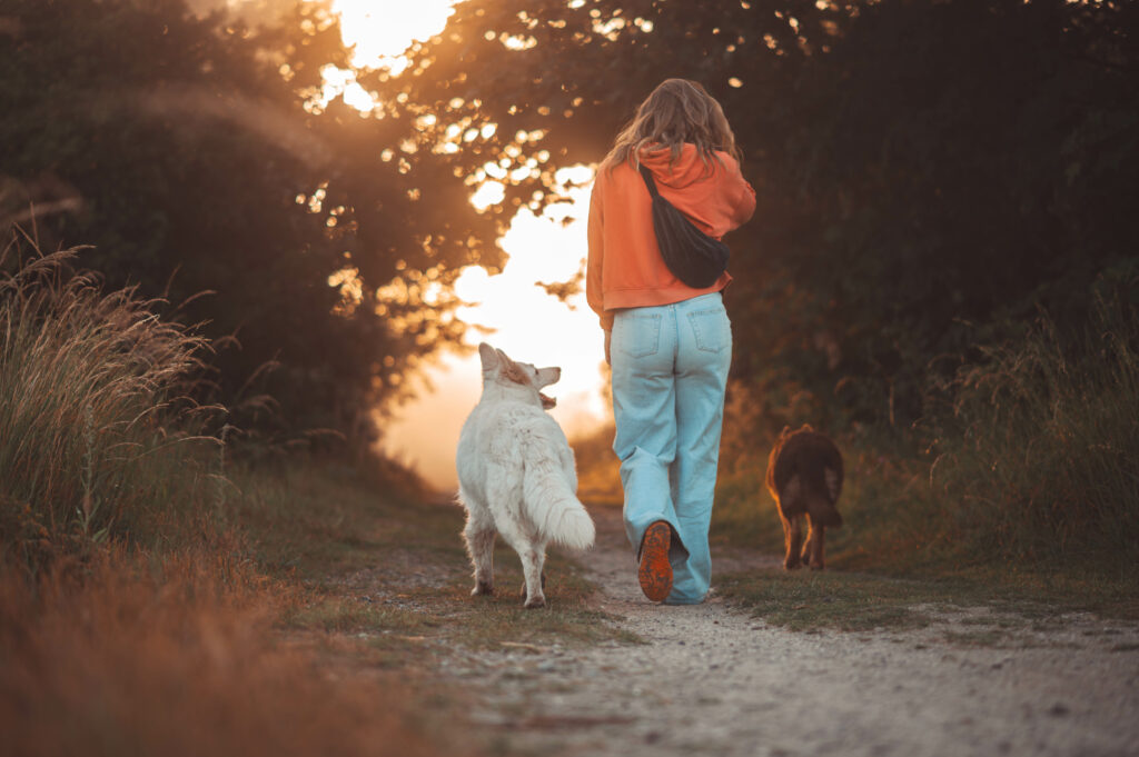Une femme avec ses chiens, un berger allemand et un berger blanc suisse, marchant de dos vers une source lumineuse à l'estuaire de Ouistreham en normandie durant le lever de soleil et sa golden hour.
