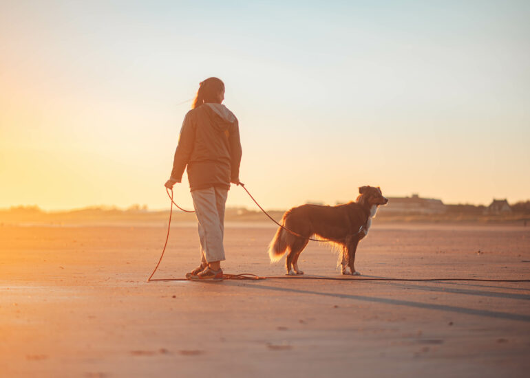 Berger australien en séance photo lifestyle en extérieur avec Cindy Obitz, photographe canine à Caen
