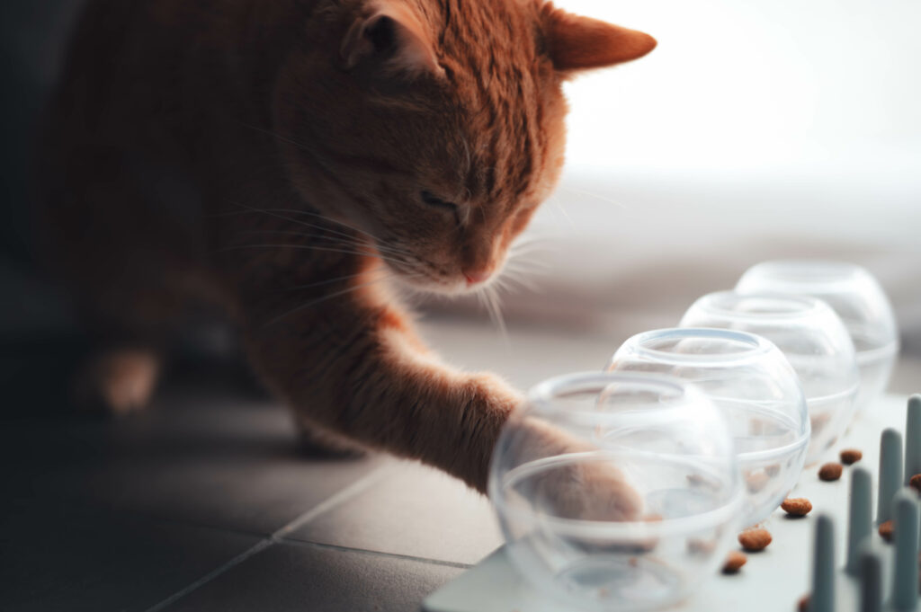 Olliver - 01032025 - 48