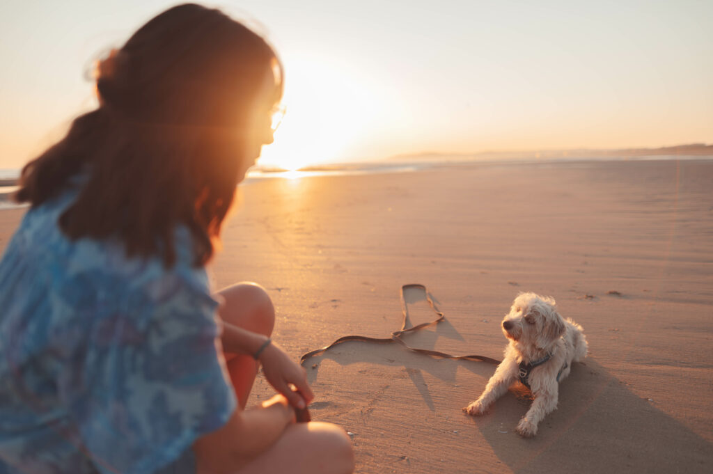 Séance photo canine en Normandie : un petit chien croisé partage un moment complice avec son humaine sur le sable de la plage de Merville-Fraceville, baigné par la lumière d'un lever de soleil.